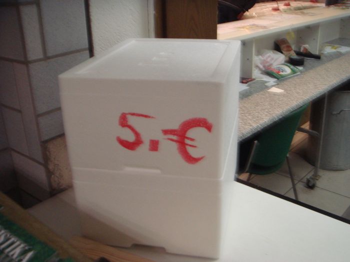 DSC08270.JPG