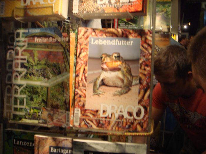 DSC08274.JPG