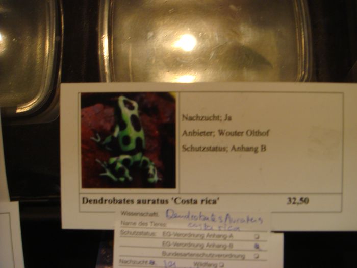DSC08285.JPG