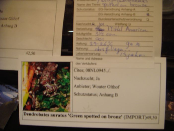 DSC08286.JPG