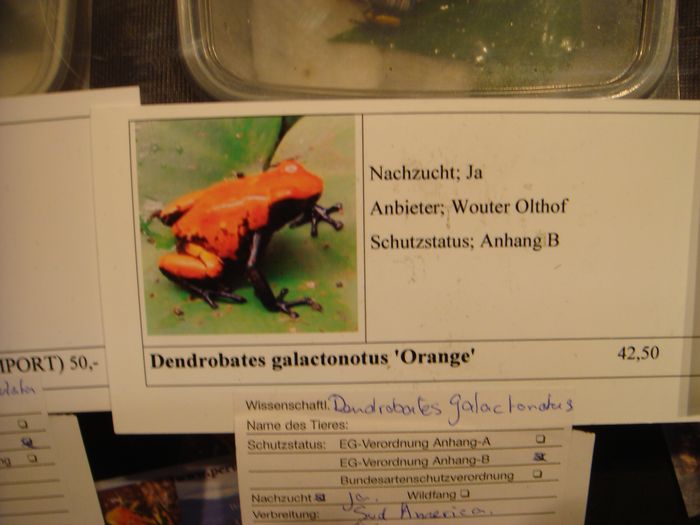 DSC08287.JPG