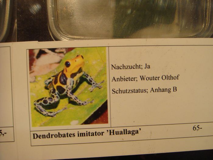 DSC08289.JPG