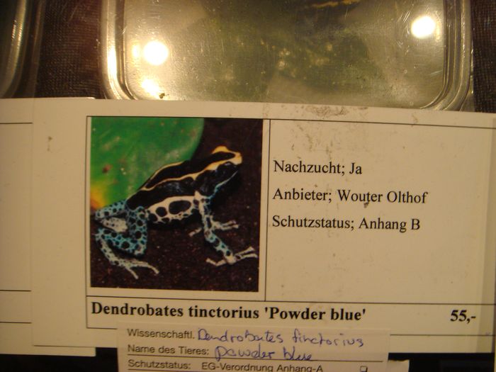 DSC08294.JPG