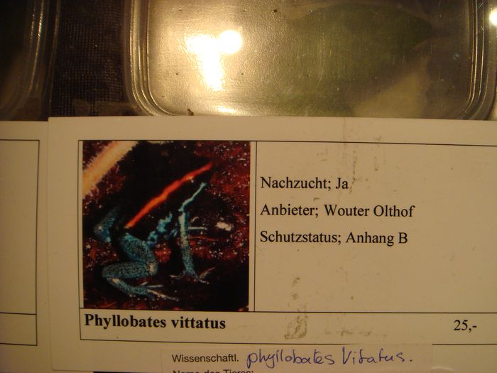 DSC08295.JPG
