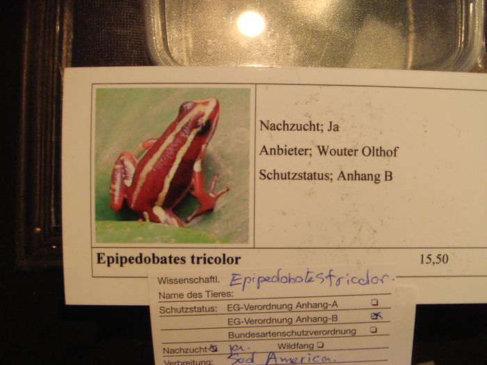 DSC08296.JPG