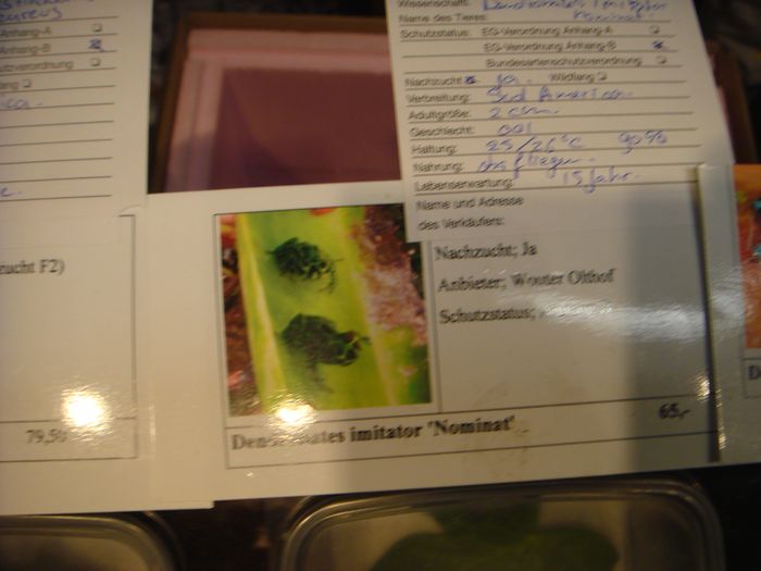 DSC08300.JPG