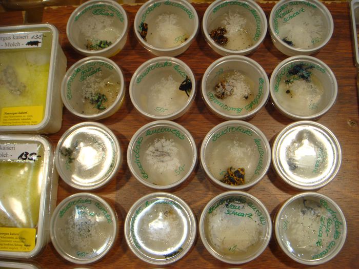 DSC08313.JPG