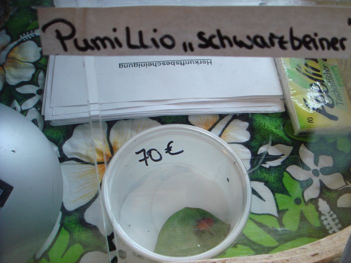 DSC08318.JPG