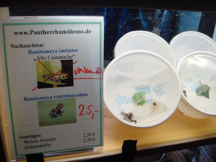 DSC08320.JPG