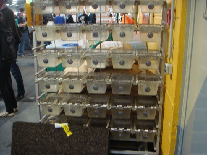 DSC08360.JPG