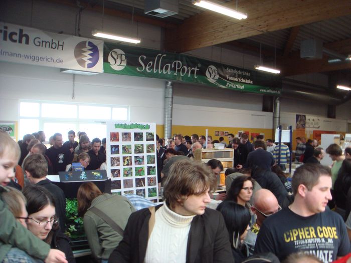 DSC08386.JPG