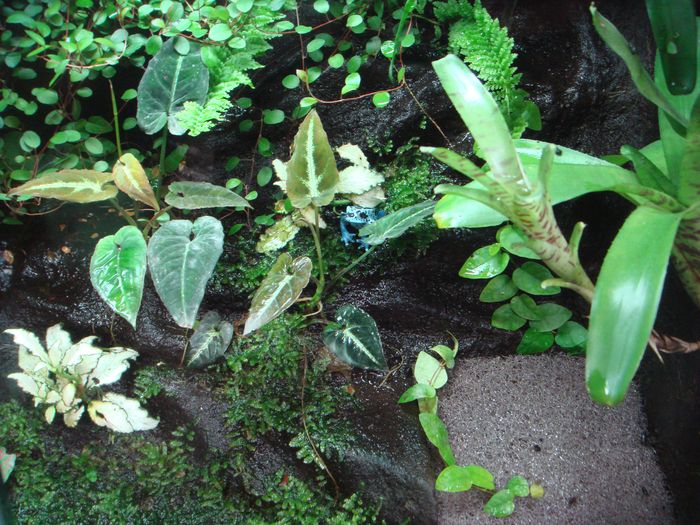 DSC08389.JPG