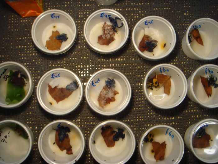 DSC08455.JPG