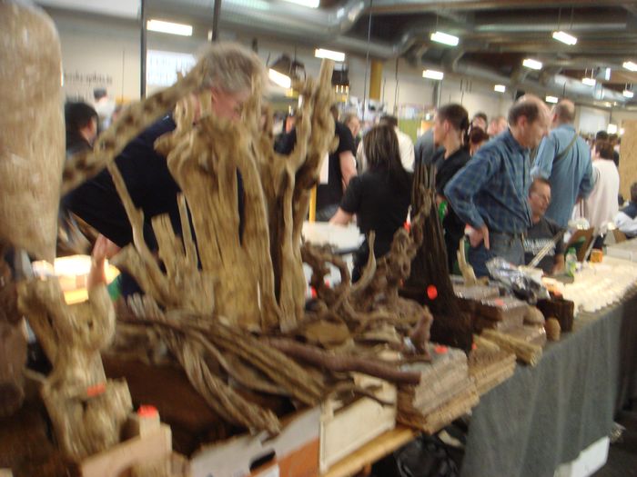 DSC08456.JPG