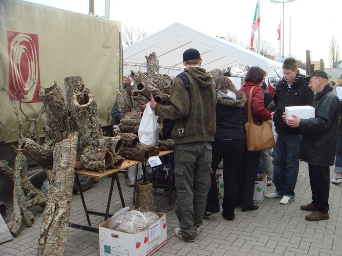 DSC08494.JPG