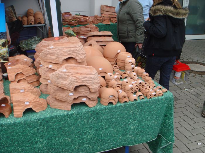 DSC08504.JPG