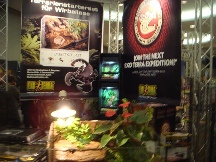 DSC08514.JPG