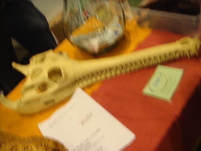 DSC08524.JPG