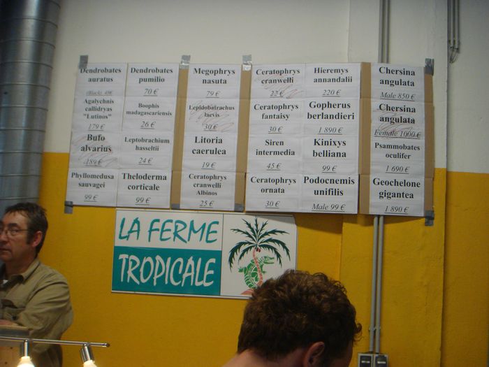 DSC08621.JPG