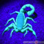 Skorpion pod światłem UV - Hadrurus anzaborrego