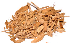 Jakie podłoże do terrarium dla żółwi?