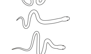 Jak poruszają się węże?