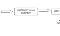 Chów gadów w niewoli, a stres
