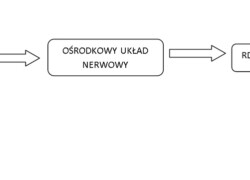 Chów gadów w niewoli, a stres