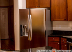 Zimowanie w lodówce żółwi lądowych i wodno-lądowych