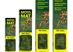 Moss Mat – podłoże w postaci maty z mchu