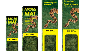 Moss Mat – podłoże w postaci maty z mchu