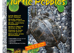 Turtle pebbles – rzeczne kamienie
