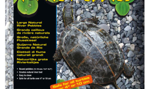 Turtle pebbles – rzeczne kamienie