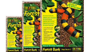 Forest Bark – naturalne podłoże do terrarium