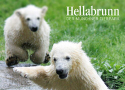 Tierpark Hellabrunn Zoo – Monachium – Niemcy