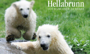 Tierpark Hellabrunn Zoo – Monachium – Niemcy