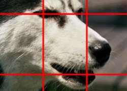 Mini kurs fotografowania analogowego i cyfrowego