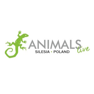 ✅ [Wrocław] Animals Live (17 Marca 2024 r.)