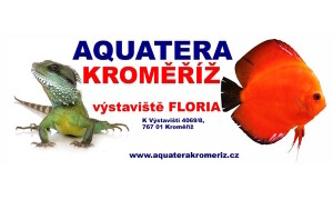 ✅ [Czechy – Kromieryż] Aquatera Kromeriz (9 Listopada 2024 r.)