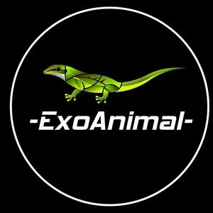 ✅ [Chełmno] Exo-Animal