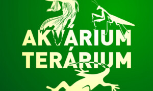 ✅ [Słowacja – Bratysława] Akvarium Terarium – 16 Maja 2026