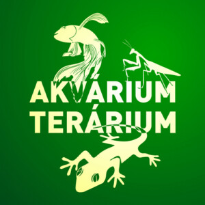 ✅ [Słowacja - Bratysława] Akvarium Terarium - 16 Maja 2026