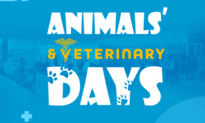 ✅ [Warszawa] Animals Days – 15/17 Maja 2026