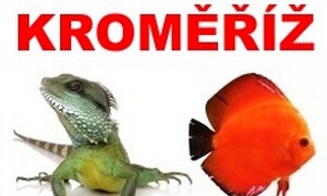 ✅ [Czechy – Kromieryż] Aquatera – 22 Listopada 2026