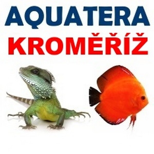 ✅ [Czechy - Kromieryż] Aquatera - 11 Stycznia 2026