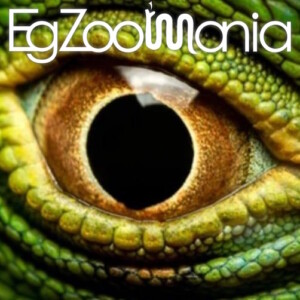 ✅ [Węgry - Budapeszt] EgzoMania - 10 Października 2026