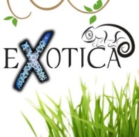 [Wrocław] Exotica - Giełda zwierząt terrarystycznych