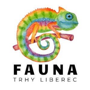 ✅ [Czechy - Liberec] Fauna Trhy Liberec - 14 Marca 2026
