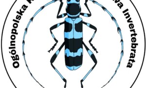✅ [Wrocław] Konferencja Invertebrata – 24/25 Października 2026