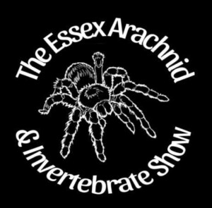 ✅ [UK - Brentwood] The Essex Arachnid & Invert Show